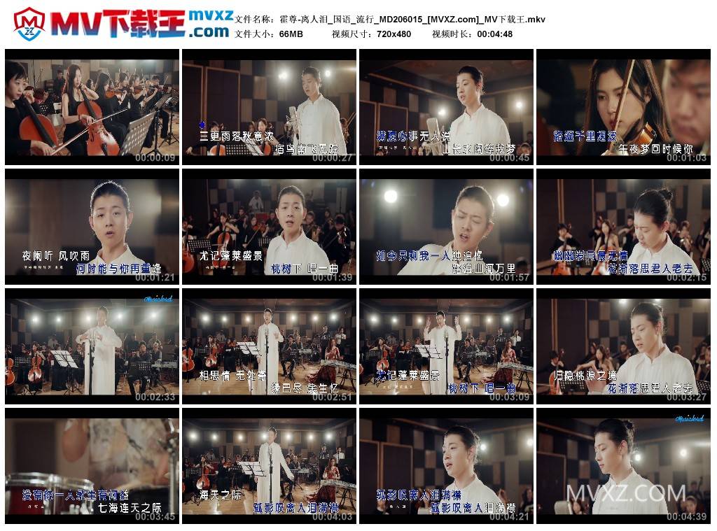 霍尊-离人泪_国语_流行_MD206015